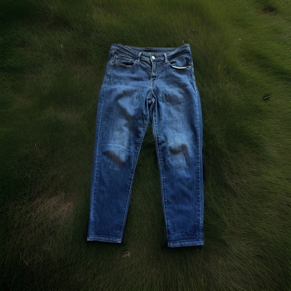 Levi Strauss & Co Women's Skinny 29"‎ Waist Jeans #1182